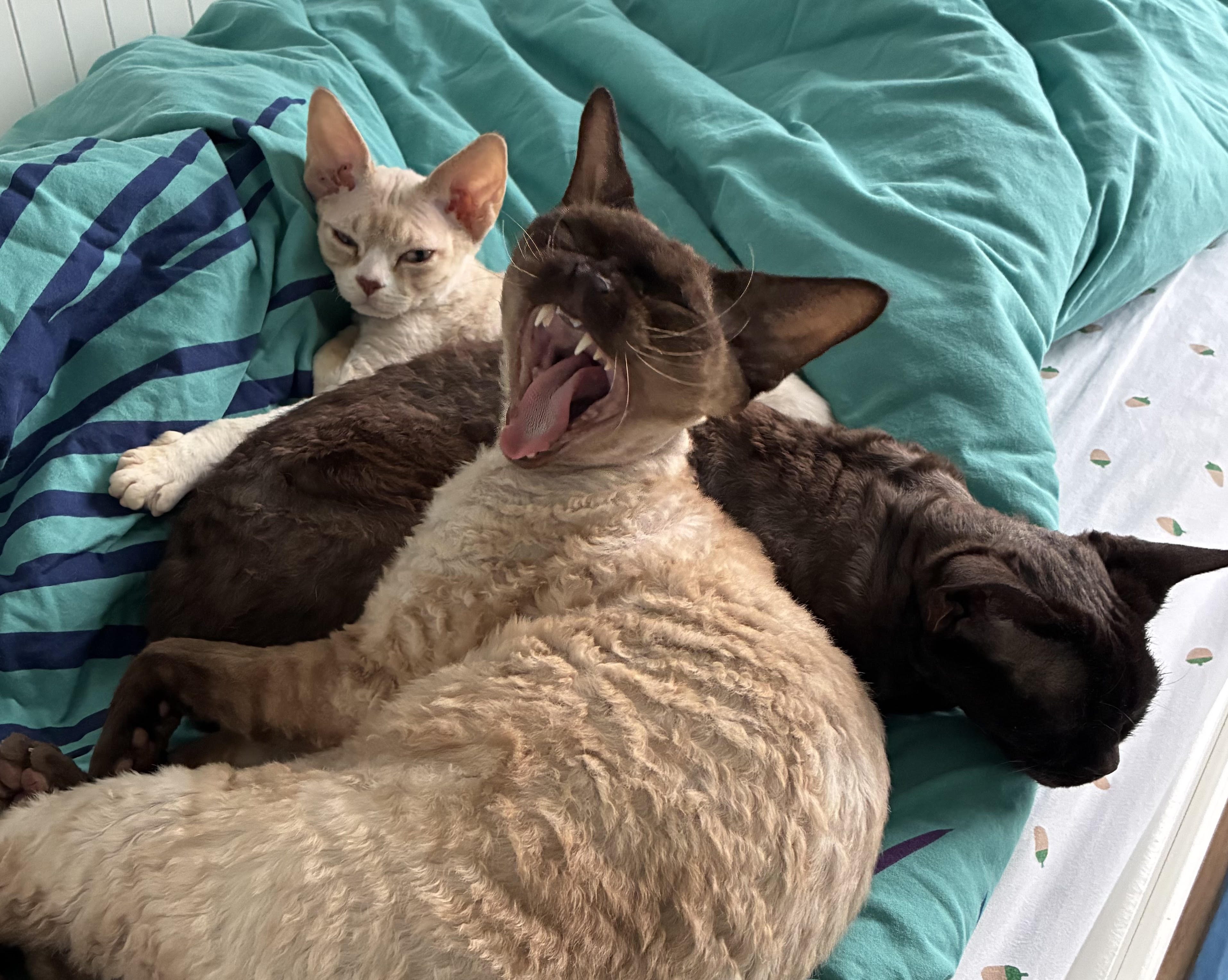 Dlaczego pacjenci nie ćwiczą?