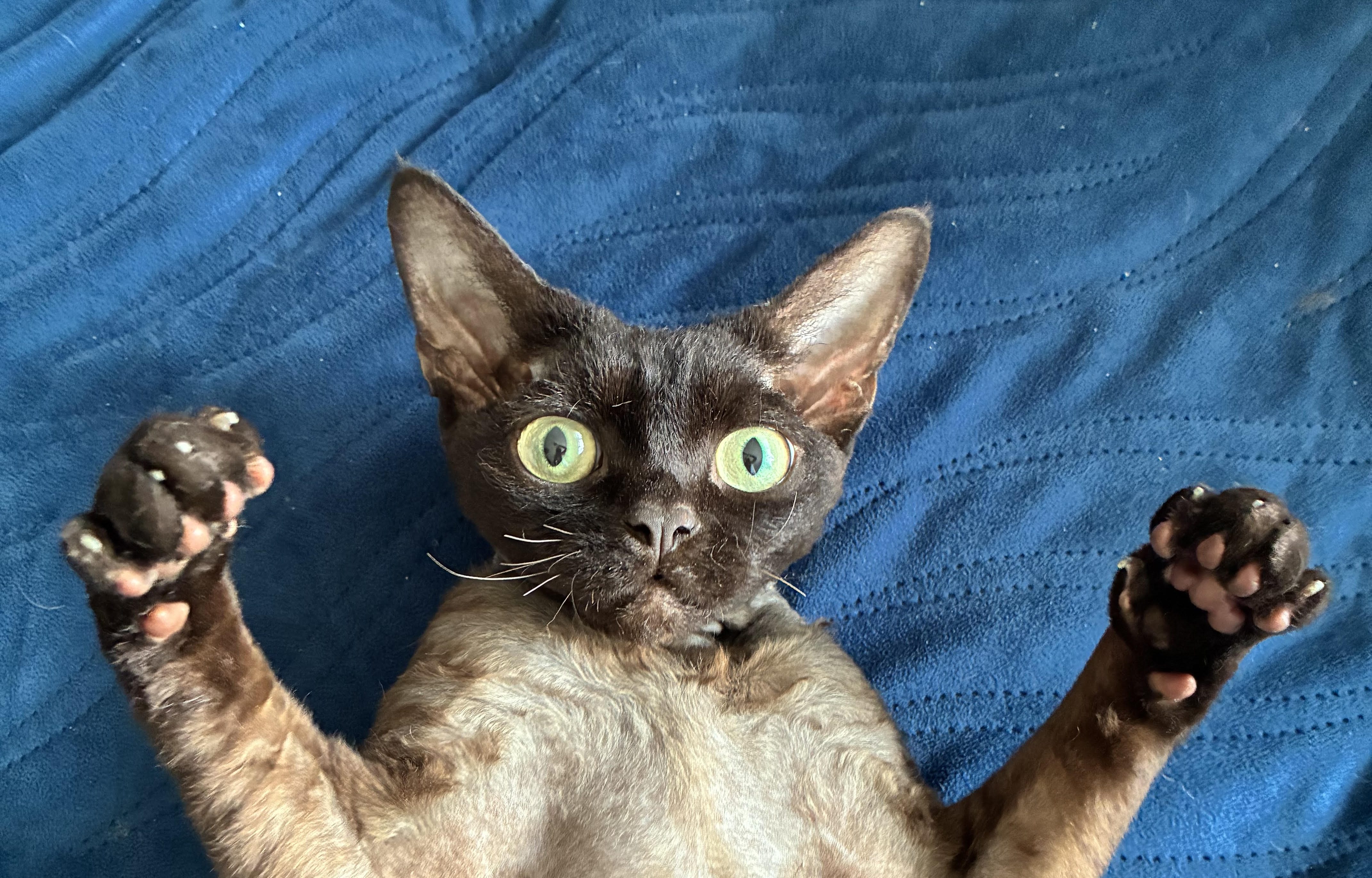 W toalecie po porodzie bez strachu. Praktyczny przewodnik